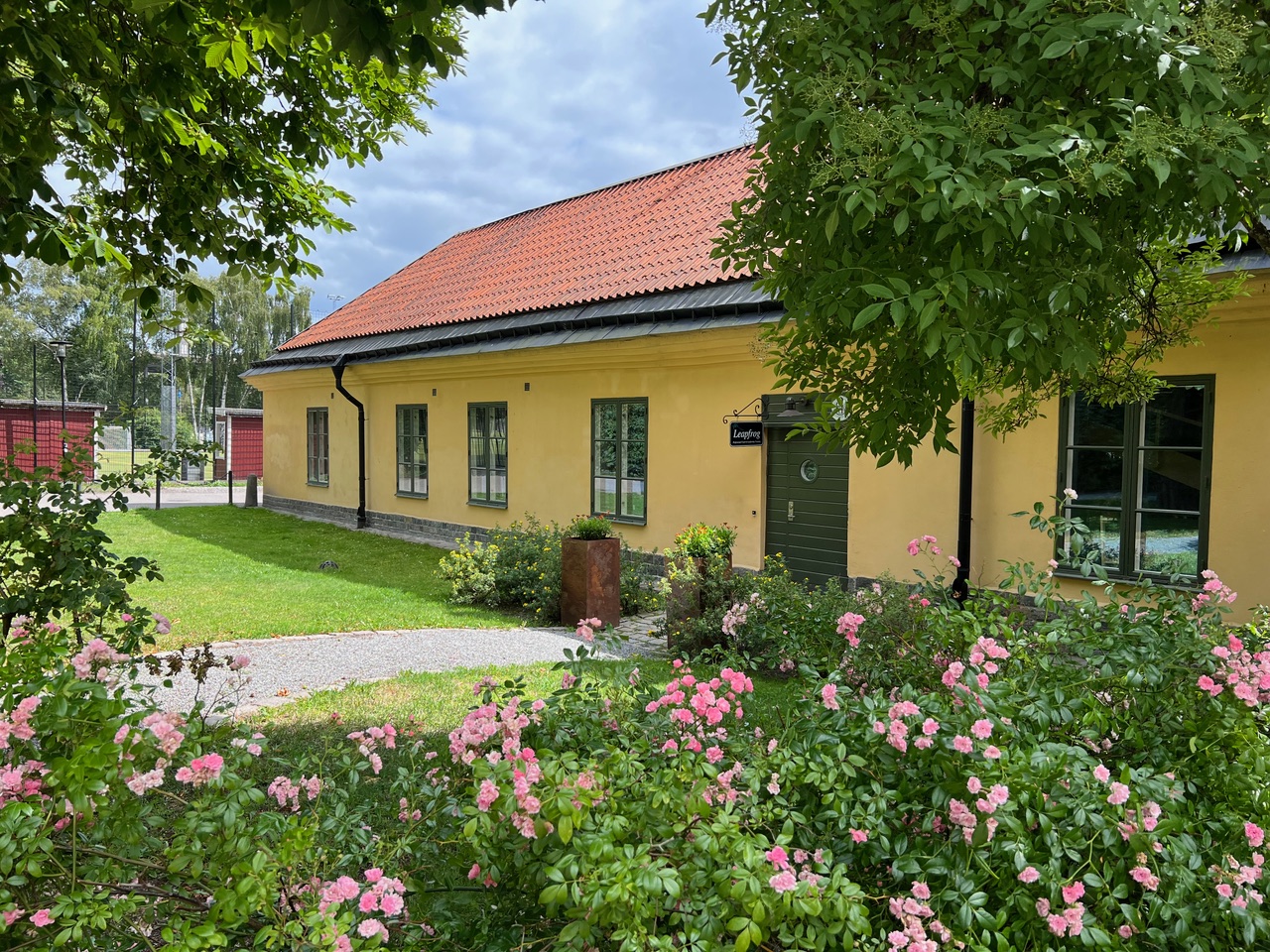 Leapfrog lokal 2024 nr 1