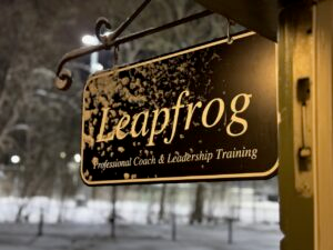 Leapfrog lokal 2024 nr 6