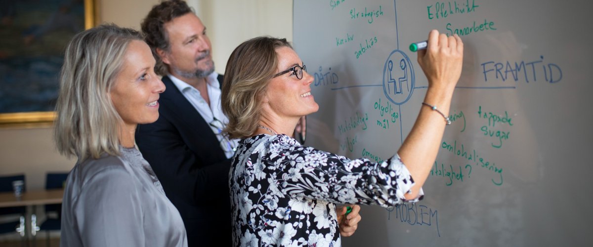 Leapfrog workgroup 1200x500 cropped