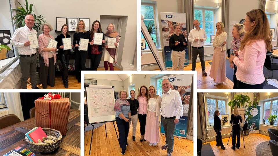 Leapfrog Teamcoaching Steg 2 Dec 2025